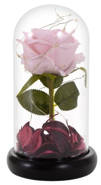 Ночник "Розовая роза" LED 3AAA 8х8х17 см - фотография № 9
