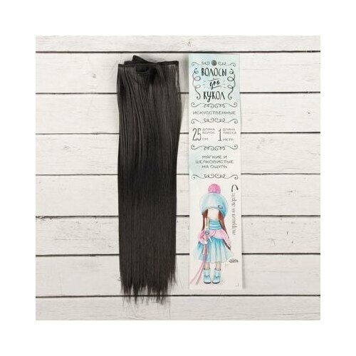 Волосы - тресс Школа талантов, для кукол Прямые длина волос: 25 см, ширина: 100 см