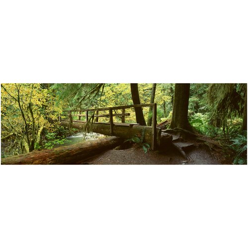 Фотообои Уютная стена Деревянный мост в тропическом лесу 820х270 см Виниловые Бесшовные (единым полотном)