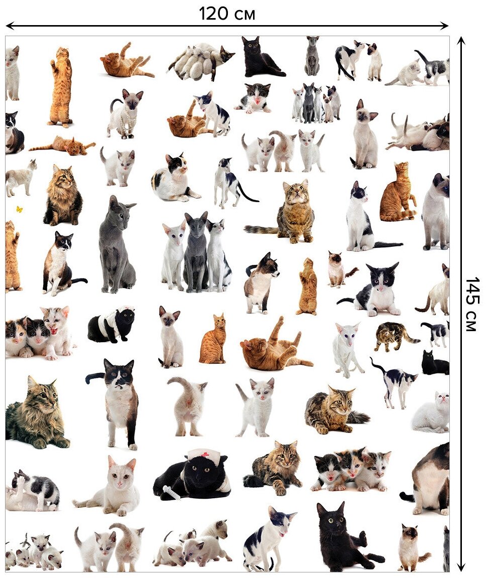 Скатерть прямоугольная JoyArty "Разнообразие котов" из сатена, 120x145 см