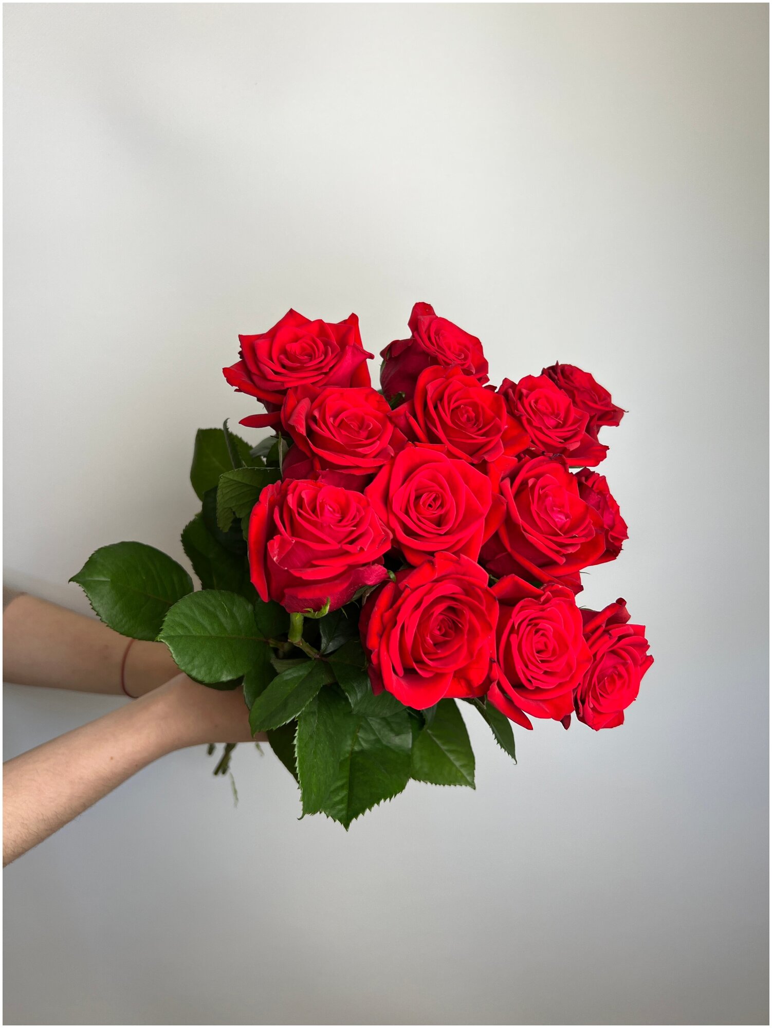 Букет из 15 красных роз 