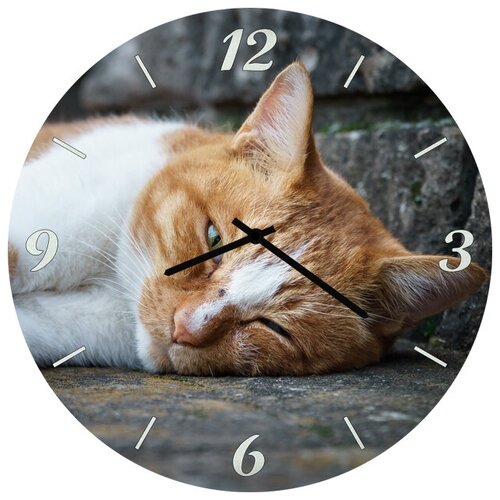 фото Svs настенные часы svs 3501853 дремлющий рыжий кот