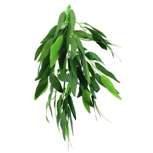 TP001-12 Растение для террариума Рускус 30см
