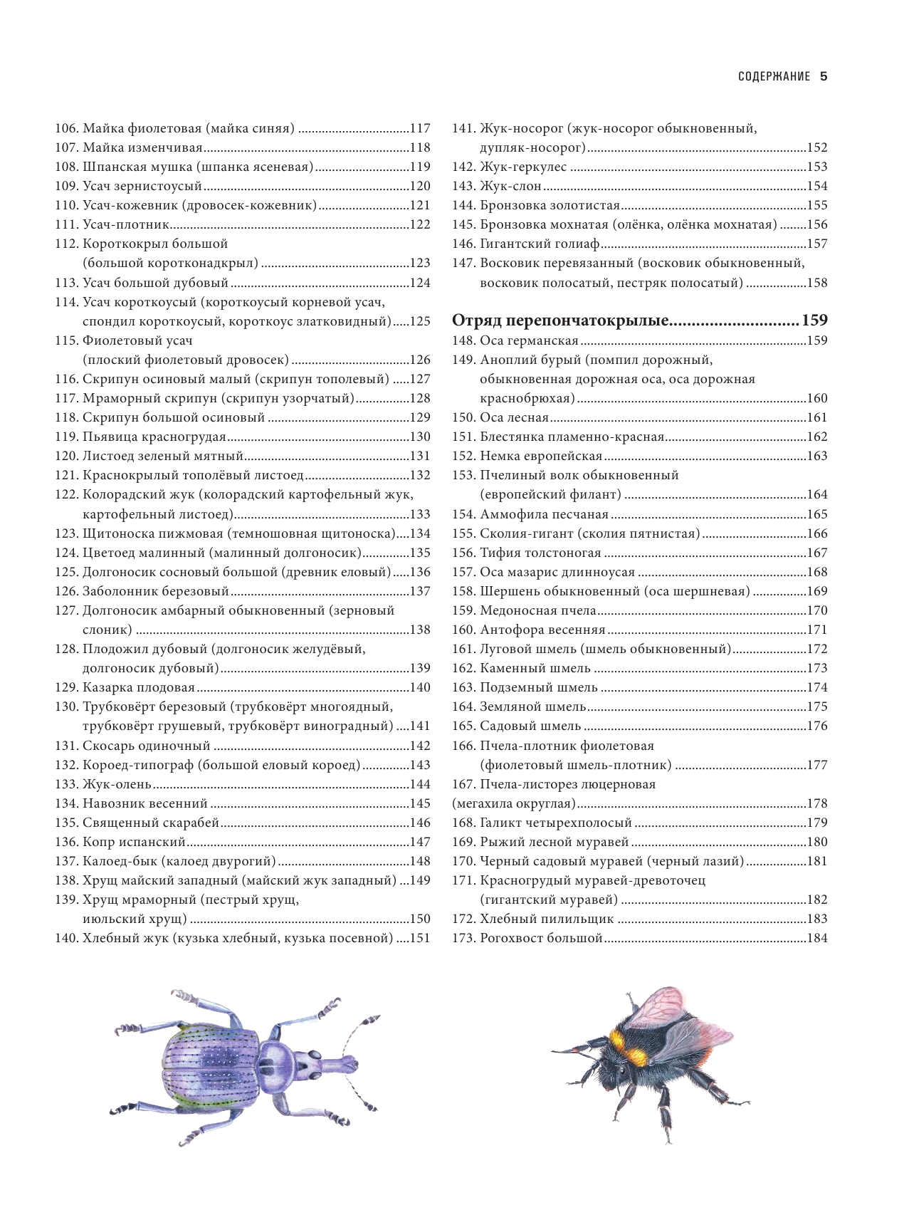 Насекомые. Иллюстрированная энциклопедия начинающего энтомолога. 240 популярных видов - фото №5