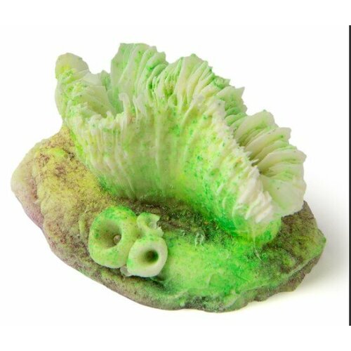 Коралл Гониопора зелёная (светящийся) КС-1847