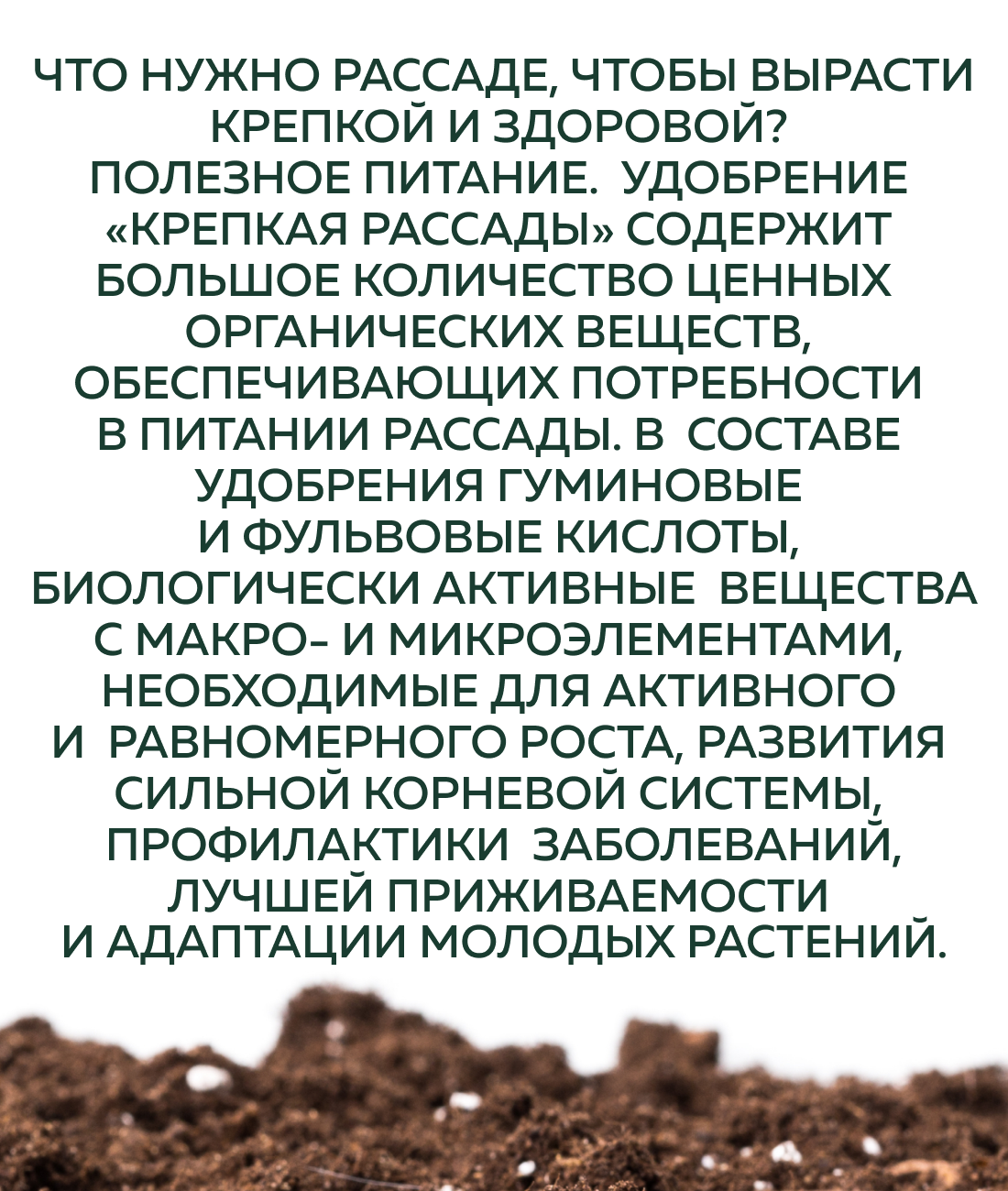 Удобрение Биомастер Крепкая рассада, дойпак, 350 мл