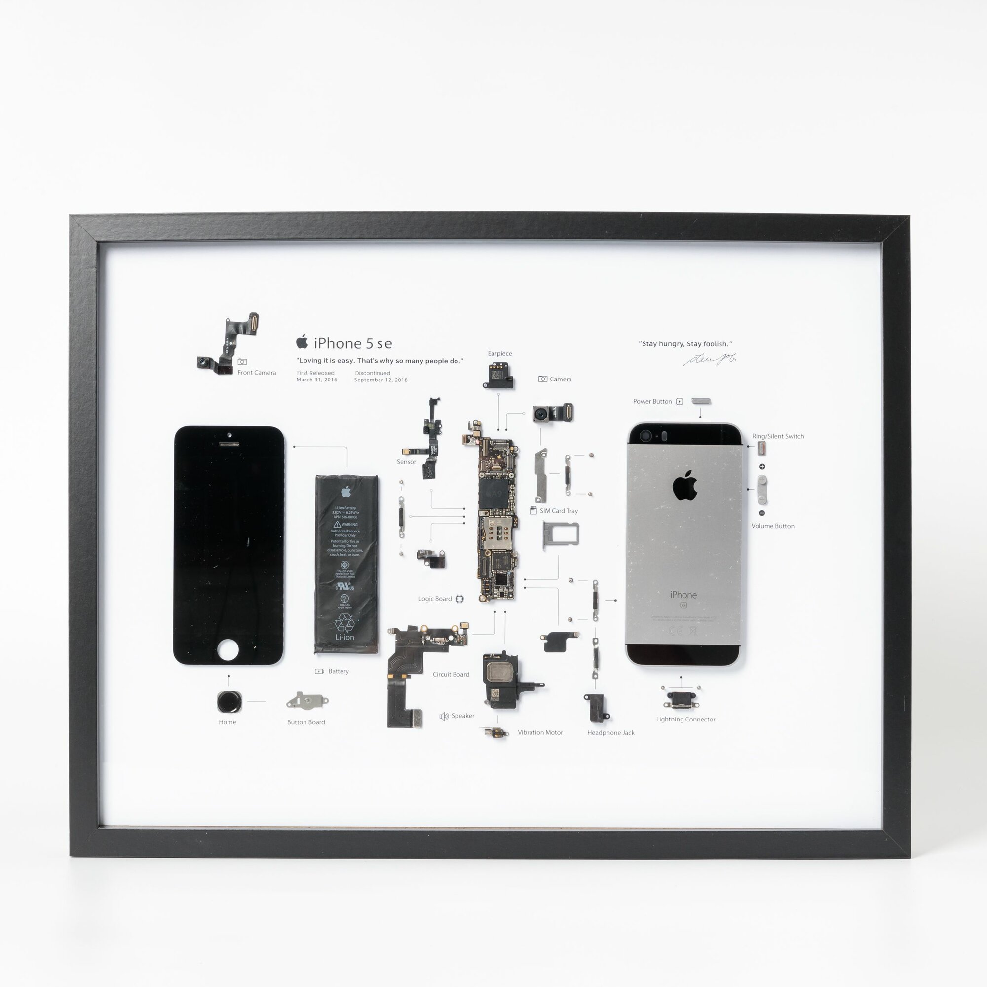 Картина разобранный iPhone 5 se Space Gray в рамке/ инсталляция/ стенд