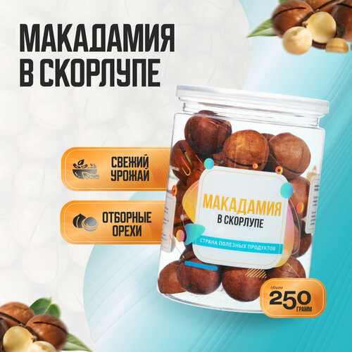 фото Орех макадамия в скорлупе 250 гр, страна полезных продуктов, банка