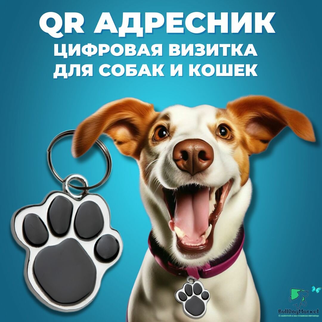 Адресник для собак и кошек с гравировкой QR кода, лапка