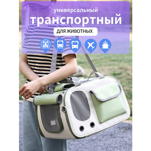 Переноска для кошек и собак мелких пород, сумка для животных