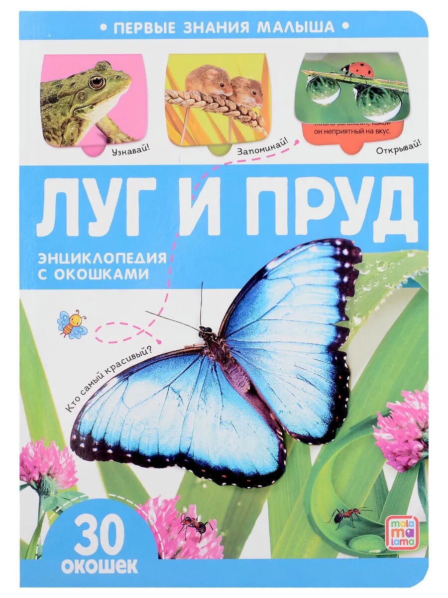 Луг и пруд  книжка с окошками