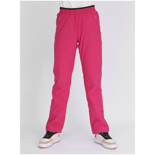 Брюки  MTFORCE зимние, прямой силуэт, спортивный стиль, утепленные, размер 44, розовый