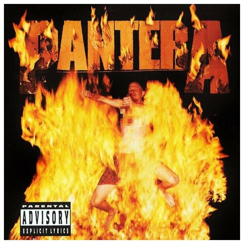 AUDIO CD Pantera - Reinventing The Steel. 1 CD vtech my 1st lion rattle