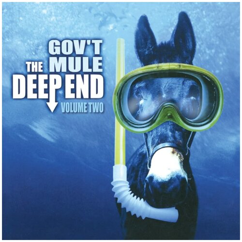 Gov't Mule 