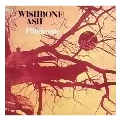 Старый винил, MCA Records, WISHBONE ASH - Pilgrimage (LP, Used)