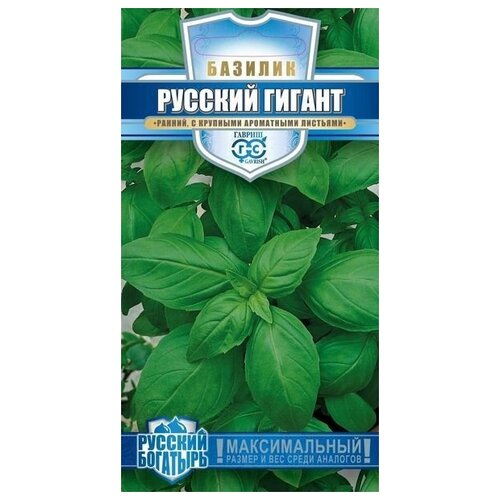 Базилик зеленый Русский гигант семена базилик фиолетовый русский гигант