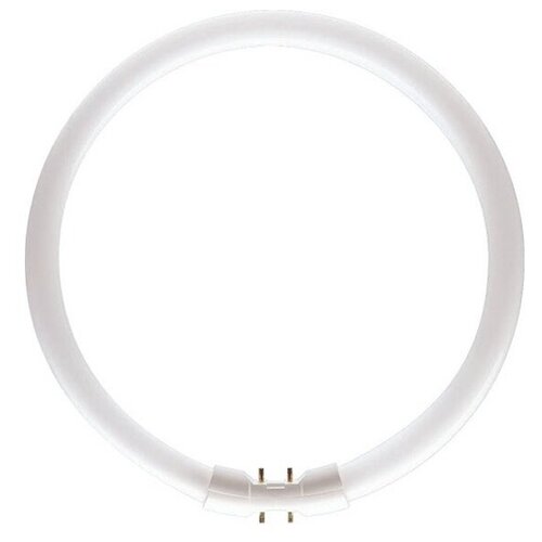 Лампа кольцевая люминесцентная FC 22W 2GX13 220mm