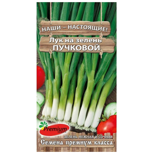 Семена Premium seeds Лук на зелень Пучковой, 1гр семена premium seeds лук на зелень пучковой 1гр