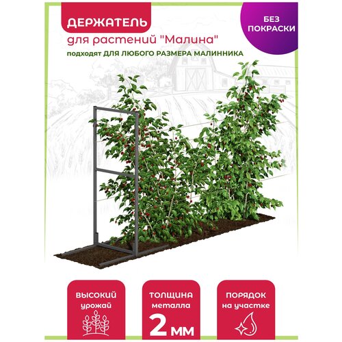Держатель шпалера для растений садовый металлический разборный 