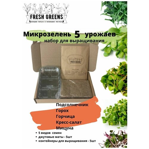 Микрозелень для проращивания Fresh Greens, Малый набор №11 (Подсолнечник Горох Горчица Кресс-салат Мицуна)
