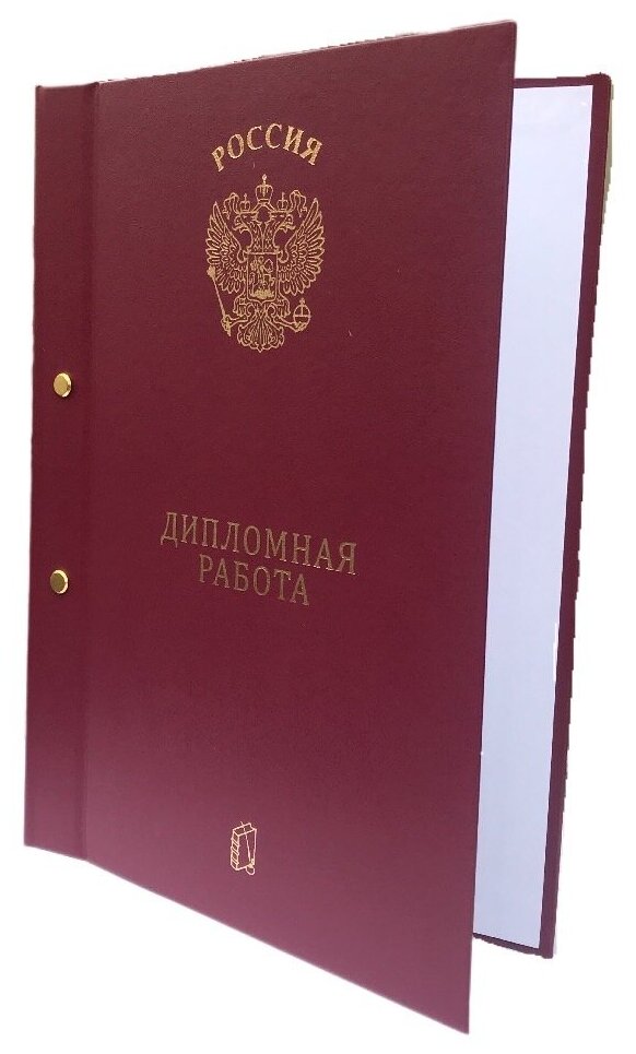 Папка «Дипломная работа» А4 — фото 1