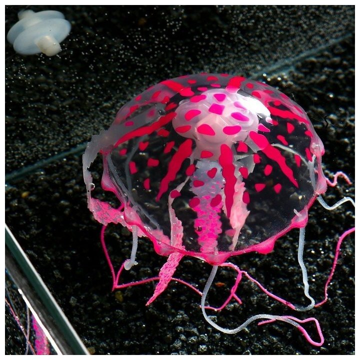 Декор для аквариума "Медуза" силиконовая, с неоновым эффектом, 10 х 10 х 20,5 см, розовая 7108871 - фотография № 4