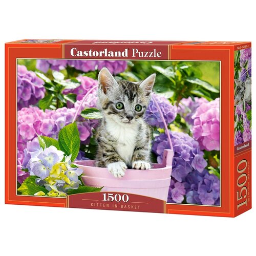 пазл castorland wolf in the wild c 151707 1500 дет 47х68х5 см мультицвет Пазл Castorland Kitten in Basket, C-152001, 1500 дет., 47х68х5 см, разноцветный