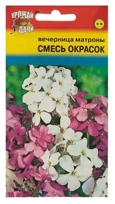 Семена цветов Цв Вечерница (ночная фиалка) Матроны Смесь,0,3 гр./В упаковке шт: 2