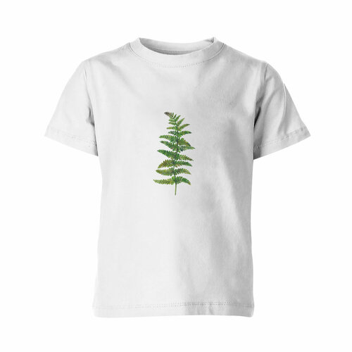 Футболка Us Basic, размер 12, белый мужская футболка папоротник растение ботаника минимализм m желтый