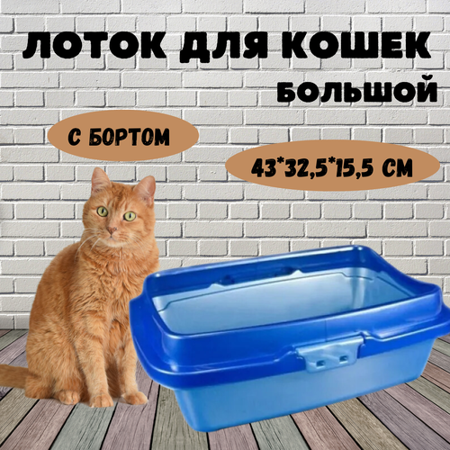 Лоток для кошек догуш с бортом, 32,5*43*15,5 см