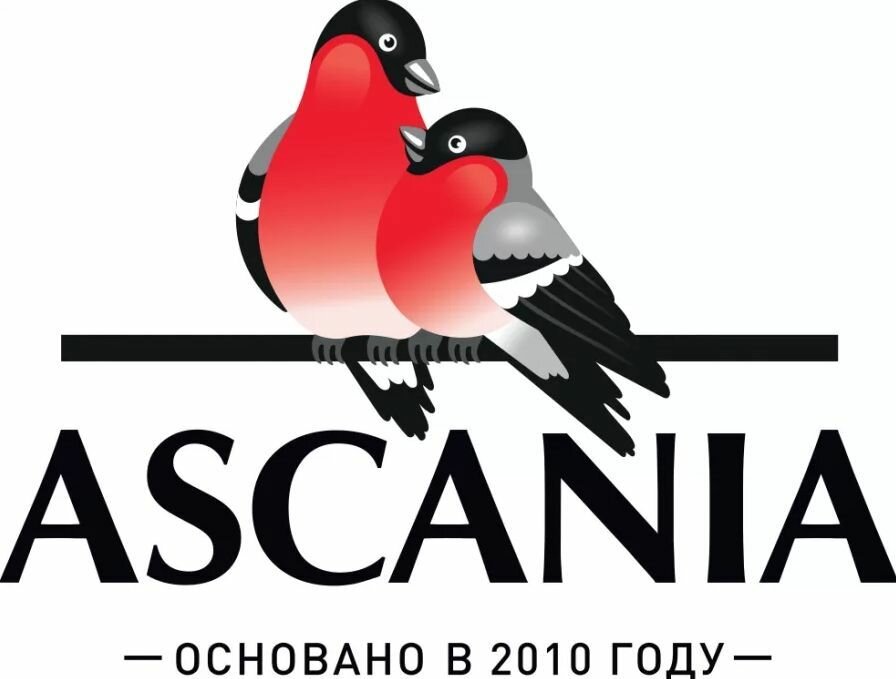 Лимонад газированный ASCANIA/Аскания Вишня 0,5 л х 12 шт. Стекло. - фотография № 5