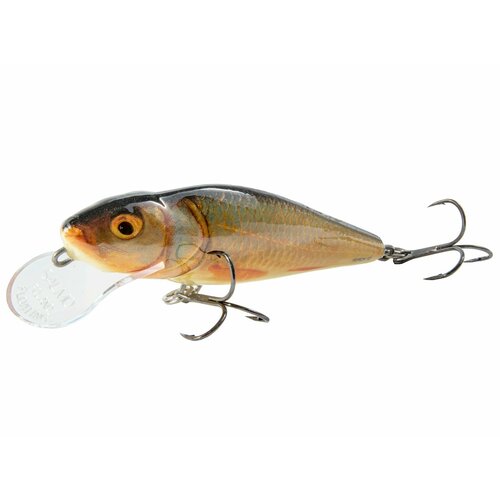 фото Воблер плавающий salmo perch dr 012/rp