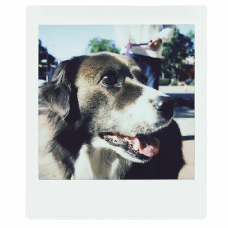 Картридж Fujifilm Instax Square (20 снимков) — фото 11
