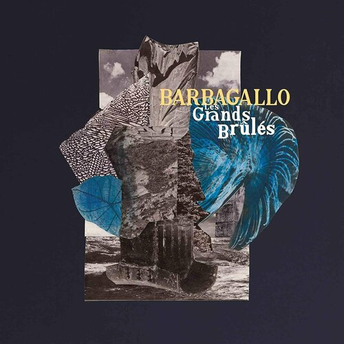 Barbagallo Julien Виниловая пластинка Barbagallo Julien Les Grands Brules