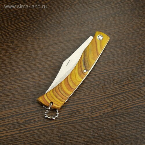 фото Нож складной "геркулер" 17,2см, клинок 79мм/1мм россия