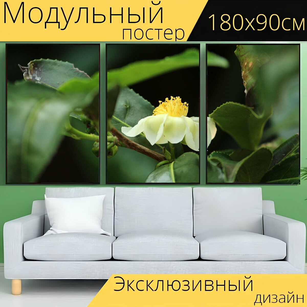 Модульный постер "Природа, лист, цветок" 180 x 90 см. для интерьера