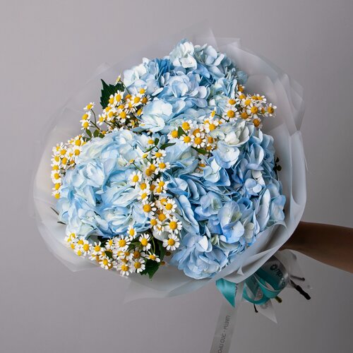 Изображение товара Дуобукет из голубой гортензии и ромашки в коробке и аквабоксе от "Простоцветы"