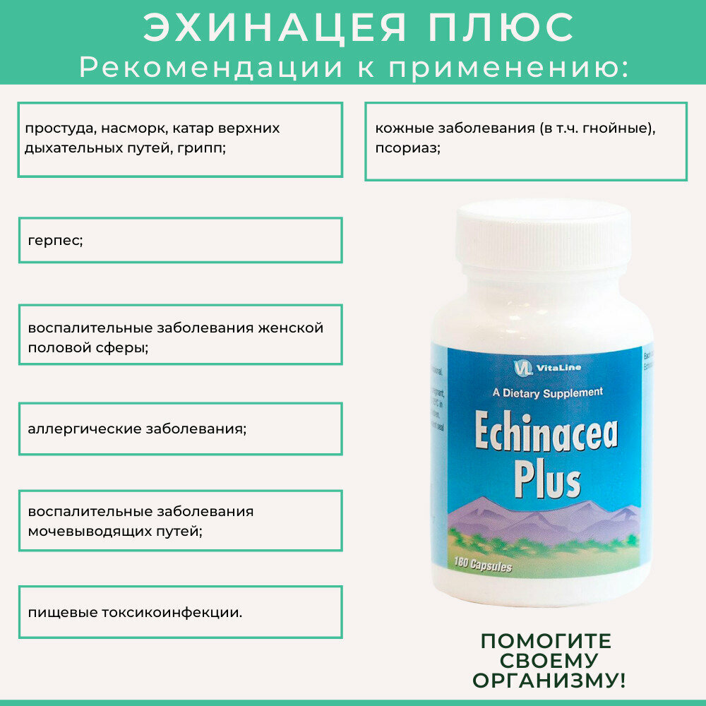 Изображение Эхинацея Плюс Виталайн / Echinacea Plus (капсулы по 182 мг) - натуральный препарат для иммуностимуляции и лечения простудных заболеваний