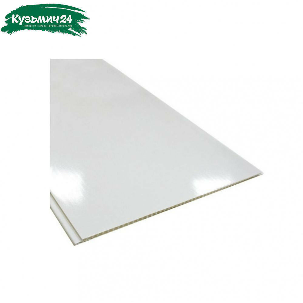 Панель ПВХ белый глянец 8х250х3000 мм