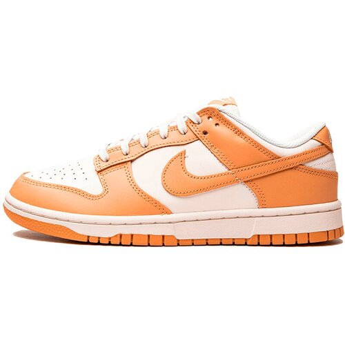 Кроссовки NIKE, размер 40, коричневый кроссовки nike dunk low harvest moon 40eu