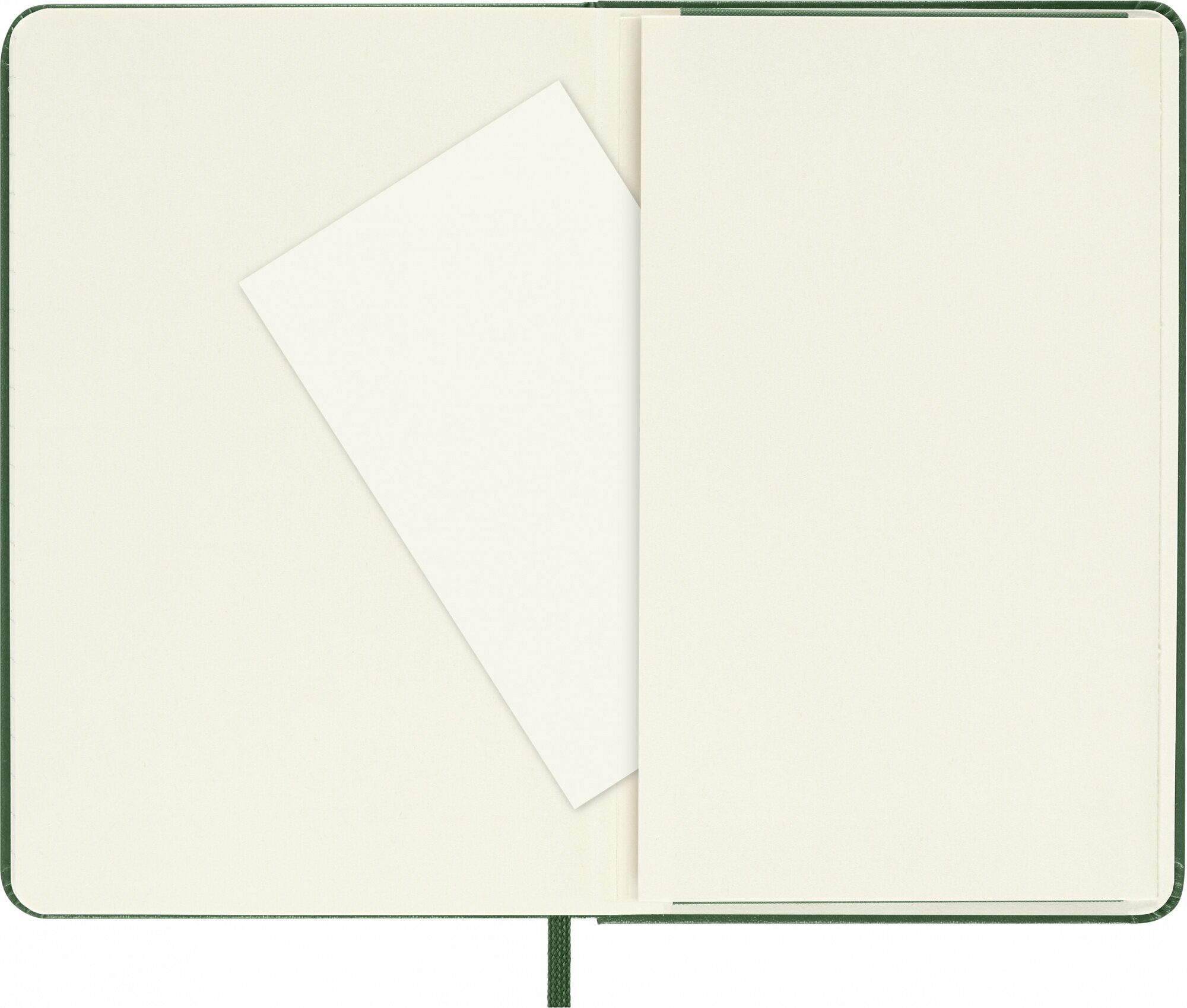 Блокнот Moleskine CLASSIC Pocket 90x140мм 192стр. линейка твердая обложка зеленый 9 шт./кор. - фото №14