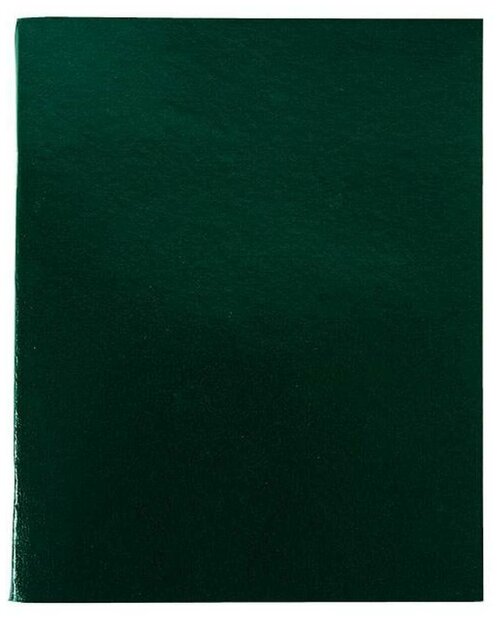 Тетрадь 96 листов LITE А4 в клетку, обложка бумвинил, на скрепке, зеленая