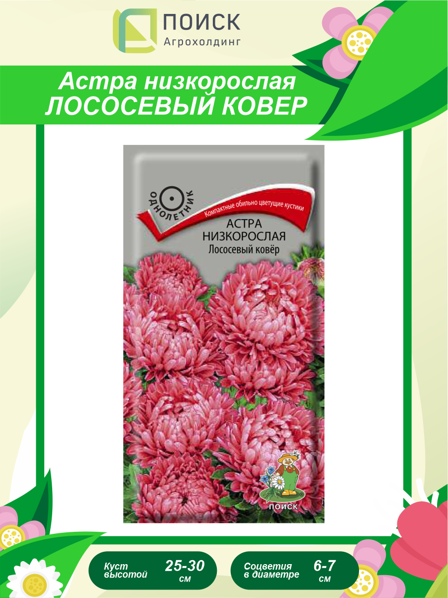 Семена Астра низкорослая «Поиск» Лососевый ковер, 0,2 г - фото №5