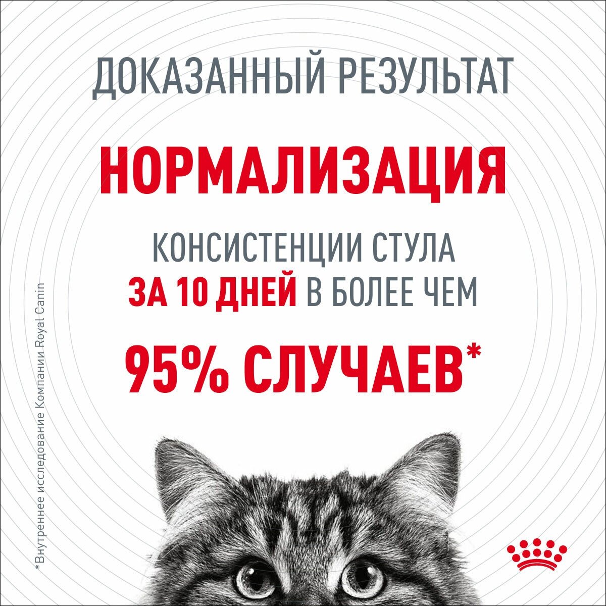 ROYAL CANIN Digest Sensitive Корм влаж.д/кошек с чувств.пищевар. 85г - фото №15