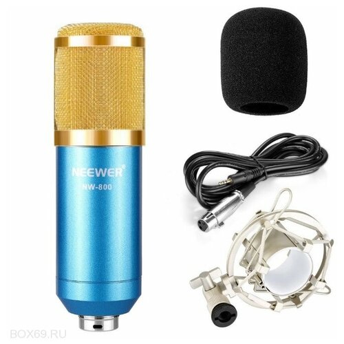 Конденсаторный студийный микрофон NW-800 золото с голубым 198500₽
