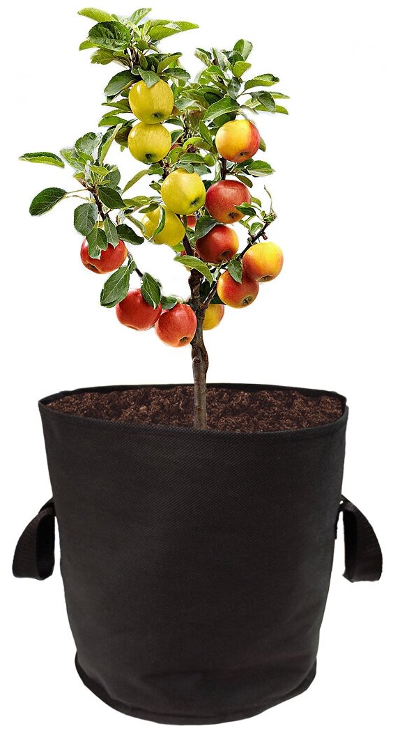 Тканевый горшок для растений Bag Pot с ручками 15 л, набор 5 шт, многоразовый мешок горшок grow bag для оранжереи, сада, гроубокса