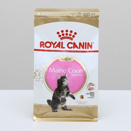 Сухой корм RC Kitten Maine Coon для котят крупных пород, 400 г