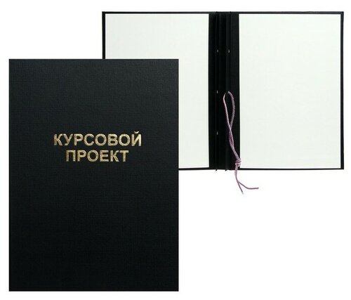 Папка "Курсовой проект" А4, бумвинил, гребешки/сутаж, без бумаги, цвет ...