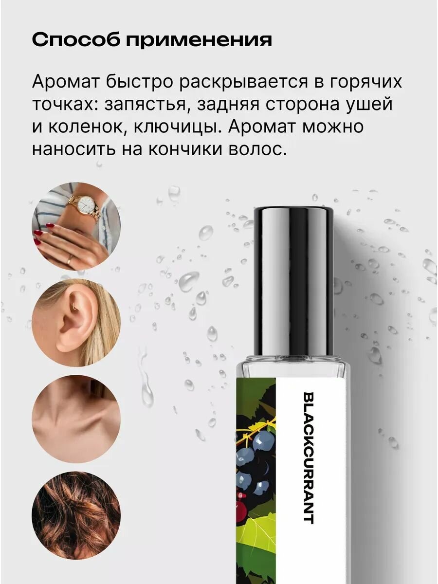 Библиотека ароматов Черная смородина Парфюмерная вода 18 мл — фото 1