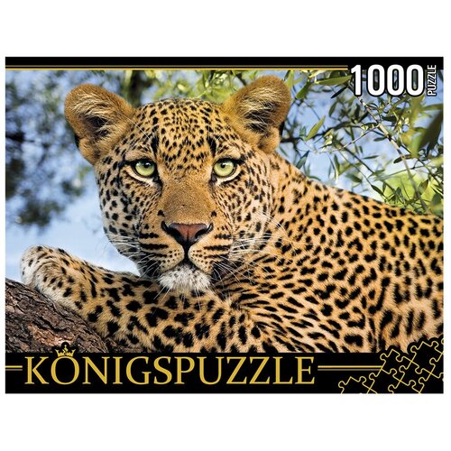 Пазл Konigspuzzle 1000 деталей: Портрет леопарда пазл konigspuzzle 1000 деталей прага карлов мост